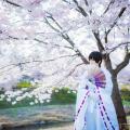 Lacerta Photography - 013.jpg