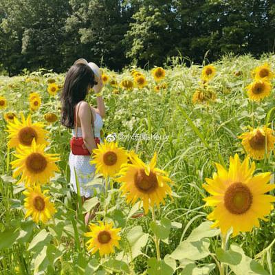 Tiểu Thang Viên｜Sherry Yang - 小汤圆sherry - Weibo - 322