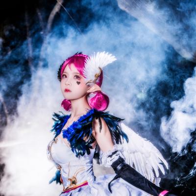 Little Joe Swan's Dream 12