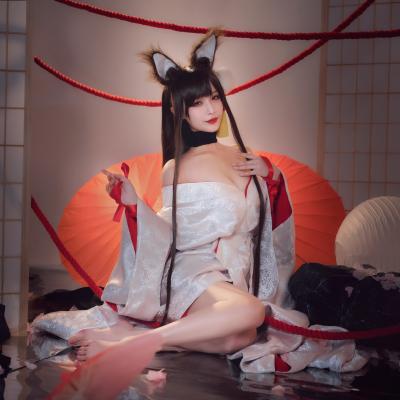 Akagi - Azur Lane 08