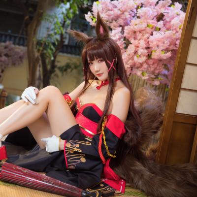 Akagi - Azur Lane 23